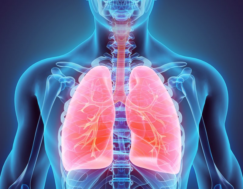 3D model of a patient’s lungs